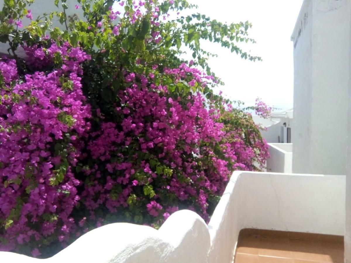 Apartamento Faro De Sardina Gáldar Екстериор снимка